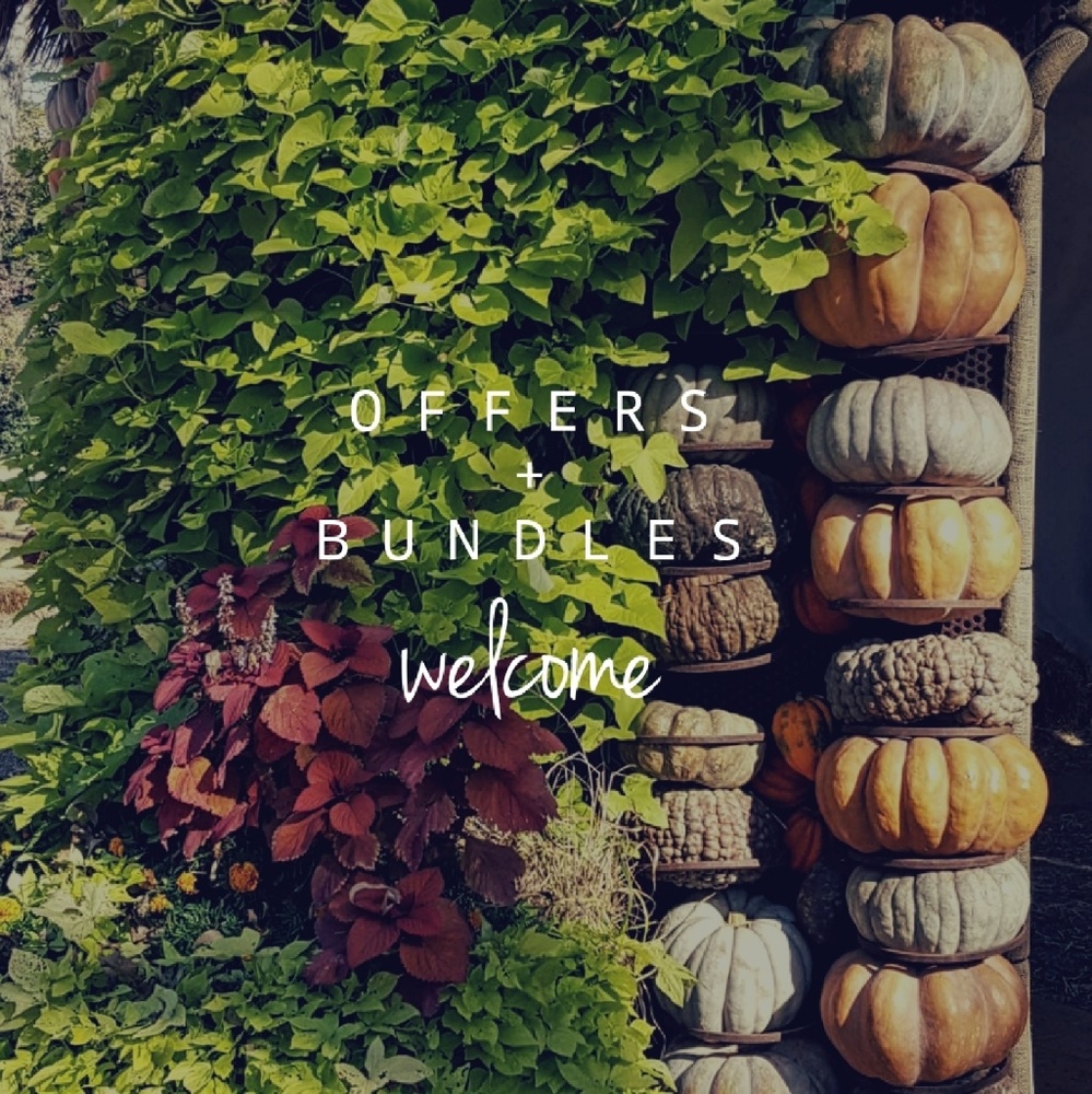 || O F F E R S + B U N D L E S || always welcome